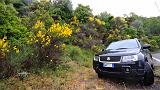Giro delle Streghe - 191 - Ginestre e Suzuki Grand Vitara